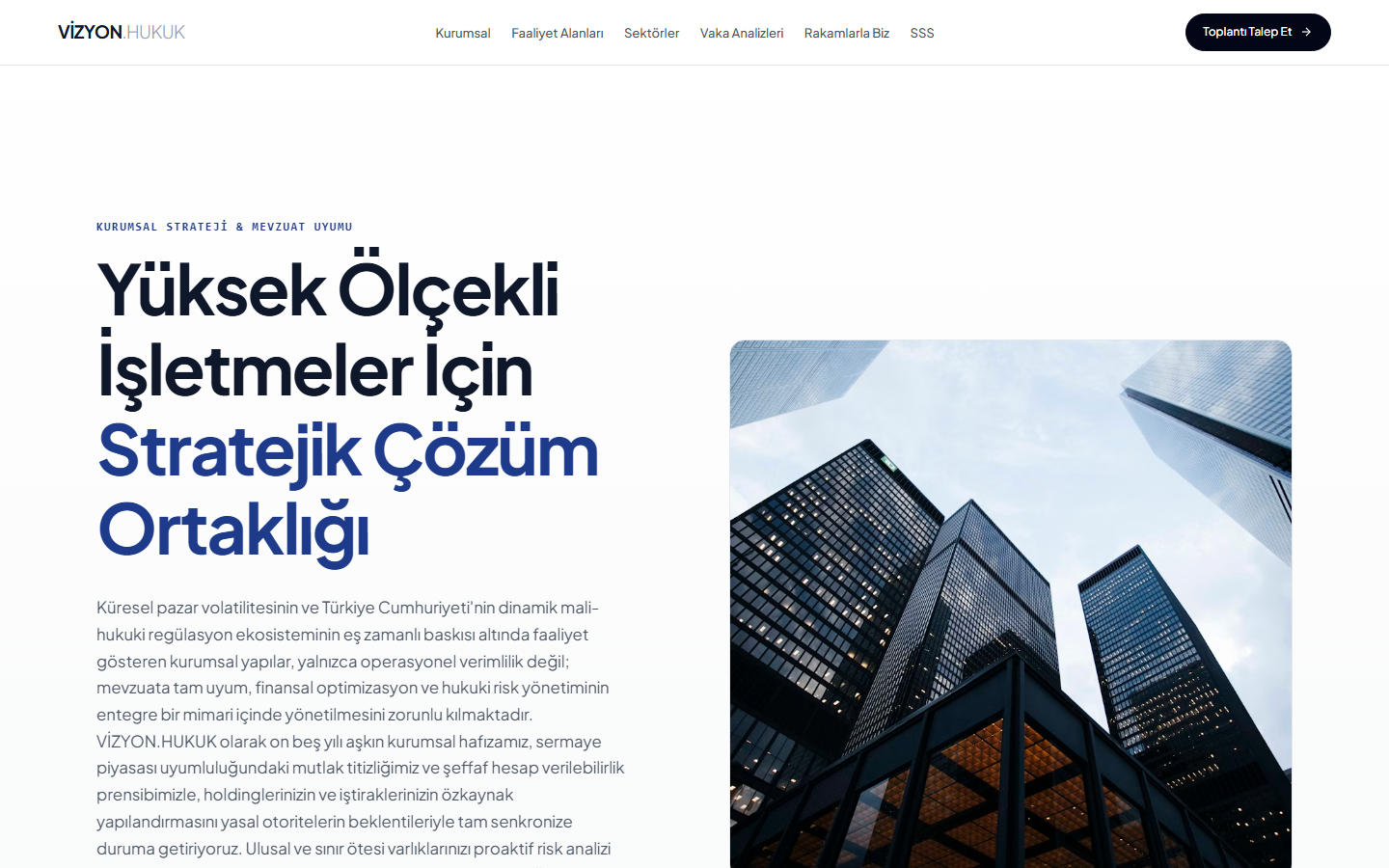 Vizyon — hukuki ve kurumsal danışmanlık